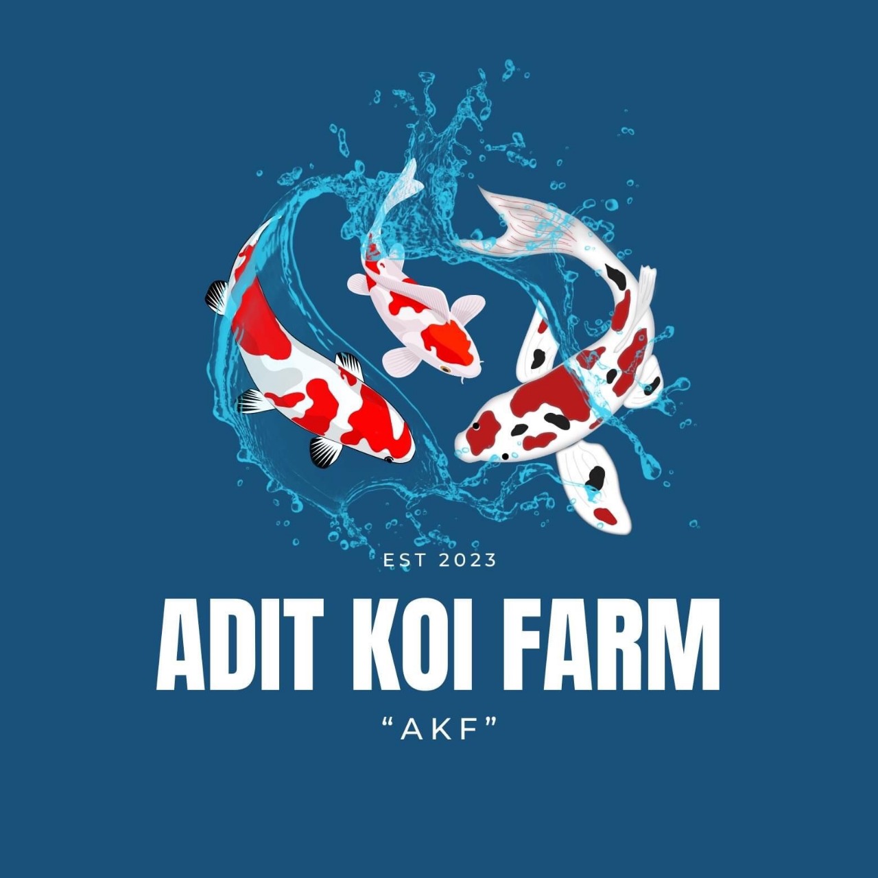 Sponsor Image