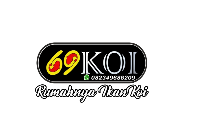 Sponsor Image